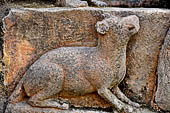 Hirapur - the Sixtyfour Yoginis Temple, detail of the pedestal of Katyayani n 7 (clockwise). 