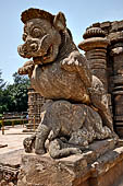 Orissa - Konarak - The Sun Temple, Gajasimha the two rampant lions striking elephants which once stood in front of the east entrance of the jagamohan, today guard the entrance of the mandapa