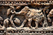 Orissa - Konarak - The Sun Temple. The frieze which runs continously all  around the base of the temple platform, decorated with more than ten thousands elephants . 
