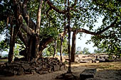Lalitgiri - the park
