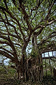 Lalitgiri - the park