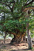 Lalitgiri - the park