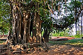 Lalitgiri - the park