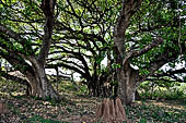 Lalitgiri - the park