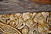 Udaigiri Cave 1 Rani Gumpha Queen's Cave - friezes of the upper storey. The story of a Kalinga queen carried away by Ashoka after the Kalinga battle. The fifth tableau: details of the bacchanalian scene.