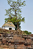 Udayagiri - Udayagiri II excavations. Hindu Temple.