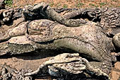 Udayagiri - Udayagiri II excavations. Detail of the four-armed Avalokitesvara statue in the field near the Monastery n 2.