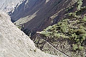 Colca Canyon Peru stock photographs