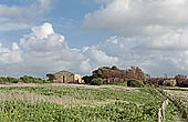 Camarina Sicily stock photographs