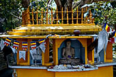 Aluvihara cave temples - The bho tree. 