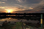 Kalametiya Bird Sanctuary.