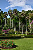 Peradeniya Royal Botanic Gardens