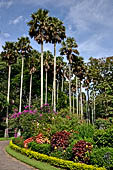 Peradeniya Royal Botanic Gardens - The Flower Garden