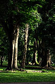 Peradeniya Royal Botanic Gardens