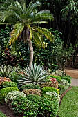 Peradeniya Royal Botanic Gardens