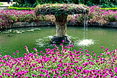 Peradeniya Royal Botanic Gardens.