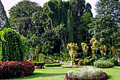 Peradeniya Royal Botanic Gardens.