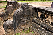 Polonnaruwa - the Citadel, stair balustrade of the royal bathhouse.