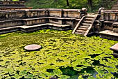 Polonnaruwa - the Citadel, the Royal Baths.