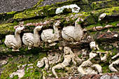 Polonnaruwa - The Hatadage. Weathered frieze on the wall with a representation of dancers.  