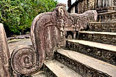 Polonnaruwa - the Vatadage. Detail of the balustrade of the northern stairway. 