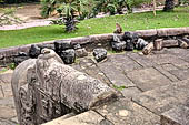 Polonnaruwa - the Vatadage. Detail of the eastern stairway. 
