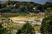 Hike up to Batutumonga north of Rantepao - rice terraces
