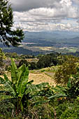 Hike up to Batutumonga north of Rantepao - rice terraces