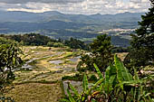 Hike up to Batutumonga north of Rantepao - rice terraces