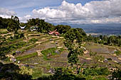 Hike up to Batutumonga north of Rantepao - rice terraces