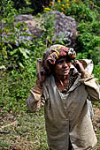 Hike up to Batutumonga north of Rantepao - farmers at work on rice terraces