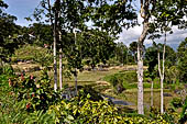 Hike up to Batutumonga north of Rantepao - rice terraces