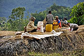 Hike up to Batutumonga north of Rantepao - farmers at work on rice terraces