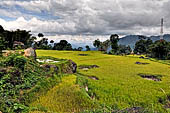 Hike up to Batutumonga north of Rantepao - rice terraces