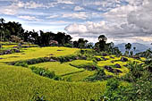 Hike up to Batutumonga north of Rantepao - rice terraces