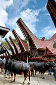 Bori Parinding villages - Traditional toraja funeral ceremony.