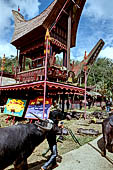Bori Parinding villages - Traditional toraja funeral ceremony.