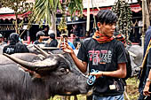 Bori Parinding villages - Traditional toraja funeral ceremony. 