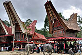 Bori Parinding villages - Traditional toraja funeral ceremony. 