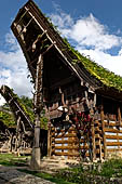 Ke'te Kesu - Traditional tongkonan house.