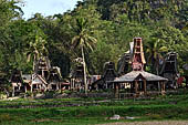 Ke'te Kesu - Traditional tongkonan house.