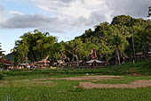 Ke'te Kesu - rice fields