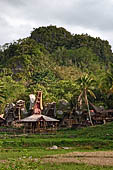 Ke'te Kesu - Traditional tongkonan house.