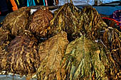 The market of Makale - stalls selling local produce including coffee, tobacco, buckets of live eels, piles of fresh and dried fish, and jugs of  'balok'