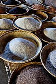 The market of Makale - stalls selling local produce including coffee, tobacco, buckets of live eels, piles of fresh and dried fish, and jugs of  'balok'