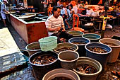 The market of Makale - stalls selling local produce including coffee, tobacco, buckets of live eels, piles of fresh and dried fish, and jugs of  'balok' 