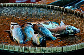 The market of Makale - stalls selling local produce including coffee, tobacco, buckets of live eels, piles of fresh and dried fish, and jugs of  'balok' 