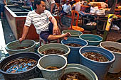 The market of Makale - stalls selling local produce including coffee, tobacco, buckets of live eels, piles of fresh and dried fish, and jugs of  'balok' 