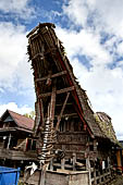 Pallawa - Traditional tongkonan house.