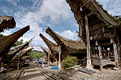 Pallawa - Traditional tongkonan house.